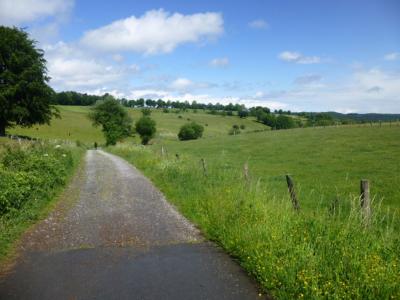 Nationalparkwochenende in der Eifel
