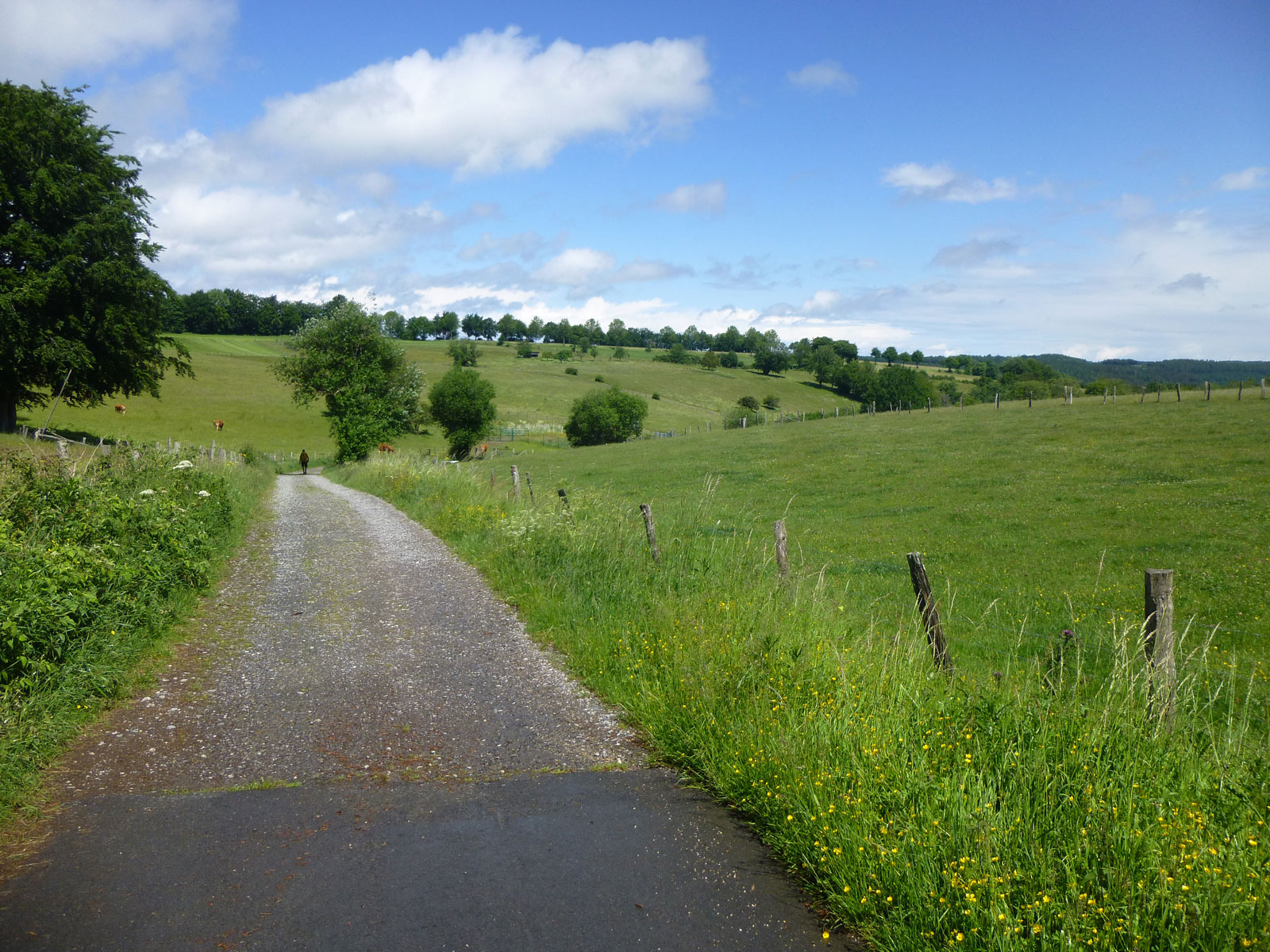 Nationalparkwochenende in der Eifel