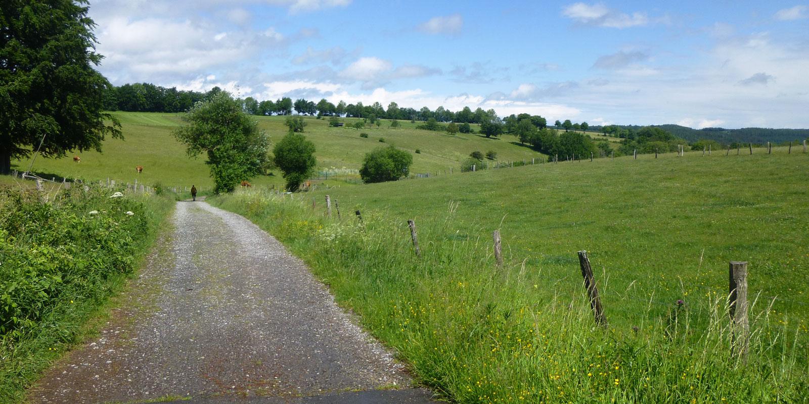 Nationalparkwochenende in der Eifel