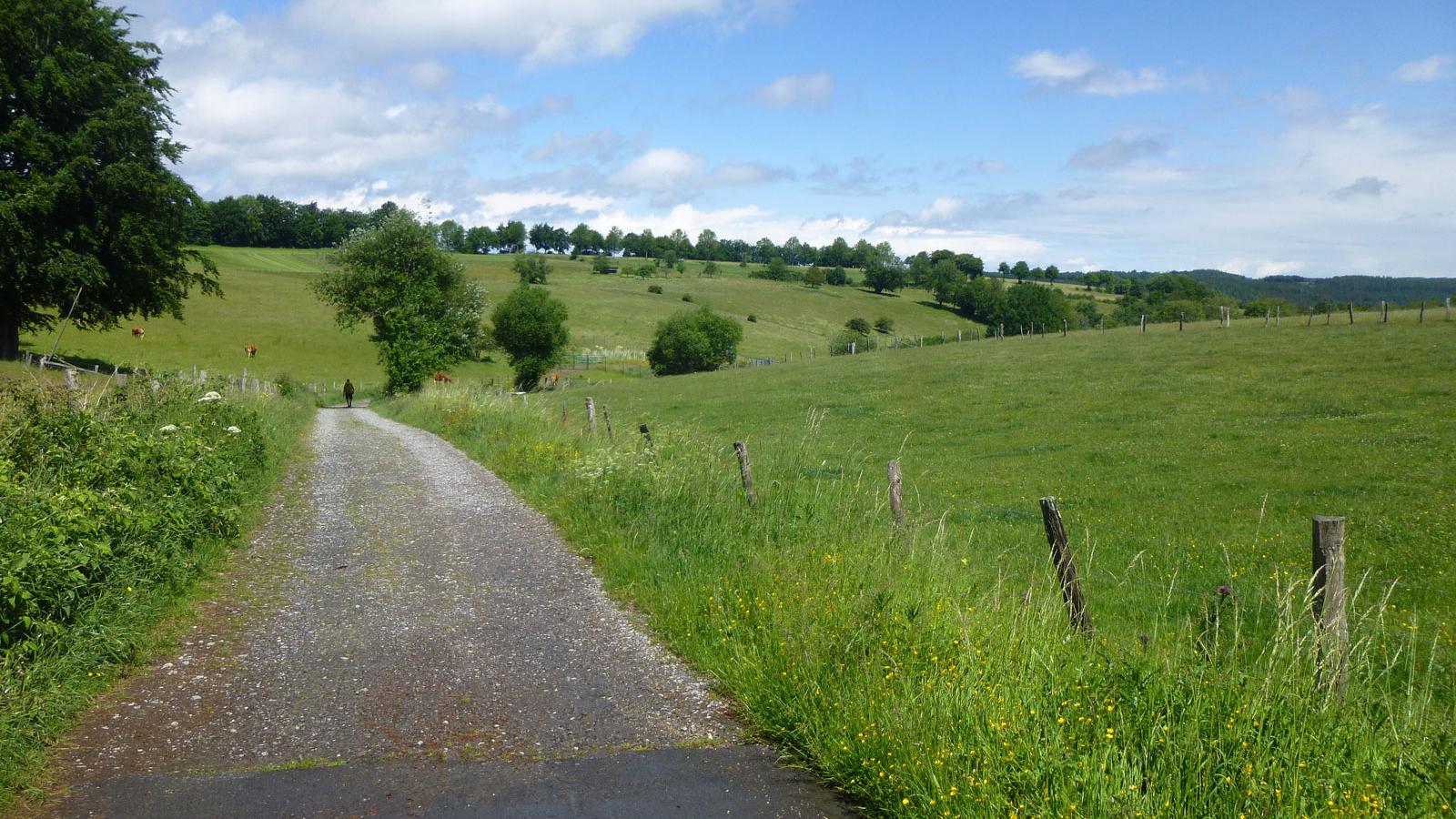 Nationalparkwochenende in der Eifel