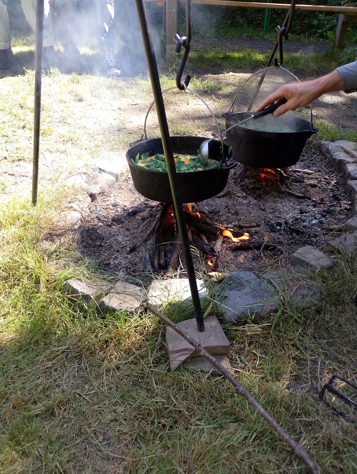 Nationalparkwochenende in der Eifel